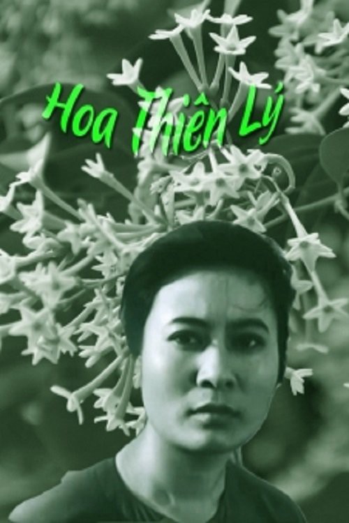 Hoa Thiên Lý
